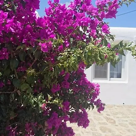 Blue Waves Mykonos