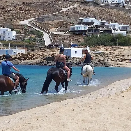 Сasa de vacaciones Blue Waves Mykonos Playa Kalo Livadi